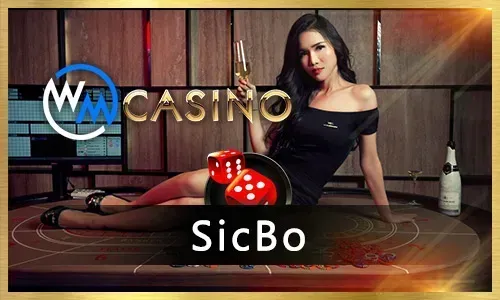Article on Casino Guide for Beginners